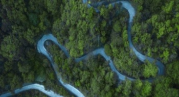 突发林火处置到防火新常态，ku娱乐科技做对了这几点！